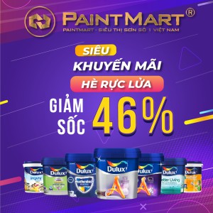 SƠN DULUX (48)
